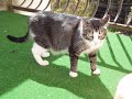 minette minette