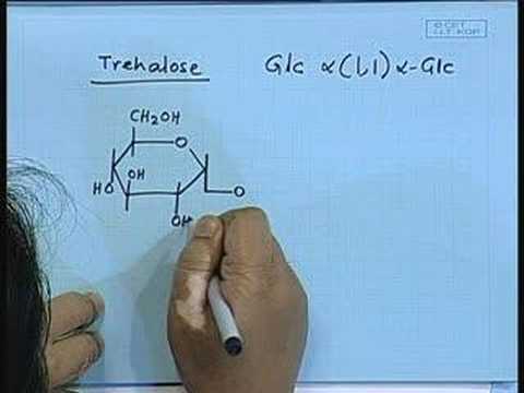 carbohydrates - Lecture Series on BioChemistry I by Prof.S.Dasgupta, Dept of Chemistry, IIT Kharagpur. For more details on NPTEl visit http://nptel.iitm.ac.in.