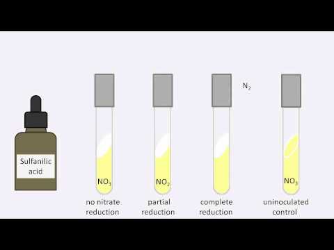 how to nitrate test
