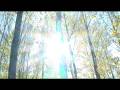 videos de INSIDE EVELYN DARCY (1/9)  (Ross Newell, 2008)