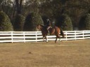 JosephandLady11-20-08mov.wmv JosephandLady11-20-08mov.wmv