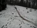 CJ Sledding 2008