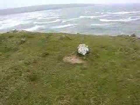 Trwyn Du Mesolithic and Bronze Age ...