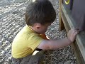Noah and Dante at the park