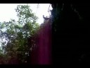 welcome to the jungle