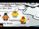 Clubpenguin Robbery