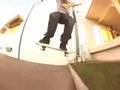 SHAKE JUNT! VIDEO BEAGLE