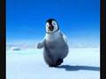 Happy Feet-Rose Tint my World
