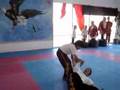 joint locks kung fu martial arts techniques