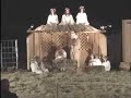 Live Nativity