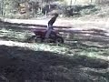 400ex wheelie