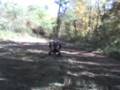 400ex wheelie