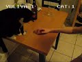 Cat Air Hockey Cat Air Hockey
