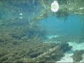 Hero 3 Sports Camera, Underwater