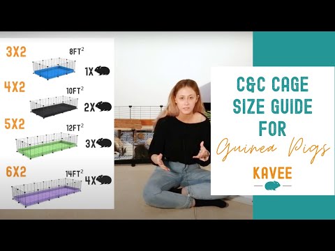 video-linktoworks-A Quick C&C Cage Size Guide - for Guinea Pigs