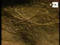 La UNESCO declara a 17 cuevas españolas Patrimonio de la Humanidad,