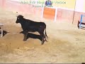 Capea Albalat.wmv
