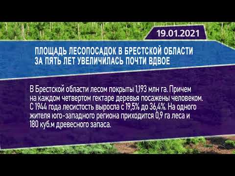 Новостная лента Телеканала Интекс 19.01.21.