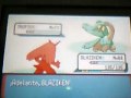 Pokemon esmeralda 4a lucha contra aura