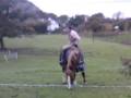 bridleless AND BAREBACK cantering and being stupid