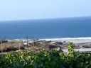 punta del hidalgo!!!