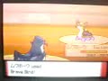 my shiny luxio evolving my shiny luxio evolving