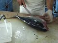  Tuna Sashimi Filet Fish Okinawa Japan Awase
