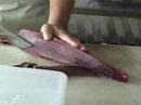 Filet a Tuna for Sashimi