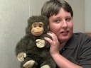 nvblog ep 2: charles and the monkey