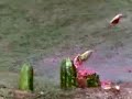 Watermelons