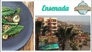 The Healthy Voyager Ensenada