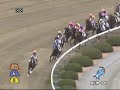 2009年12月27日 阪神4R 障害オープン ホウライブライアン
