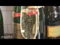 CHAMPAGNE MAKES ME SO TIPSY!