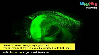 video thumbnail Binaree Tissue Clearing Rapid System youtube