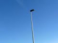 Extra 300S Seagull con OS 91 Surp Pump
