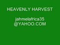 HYDROPONIC DEEP WATER CULTURE AEROPONICS HOW TO BUILD INDOOR
