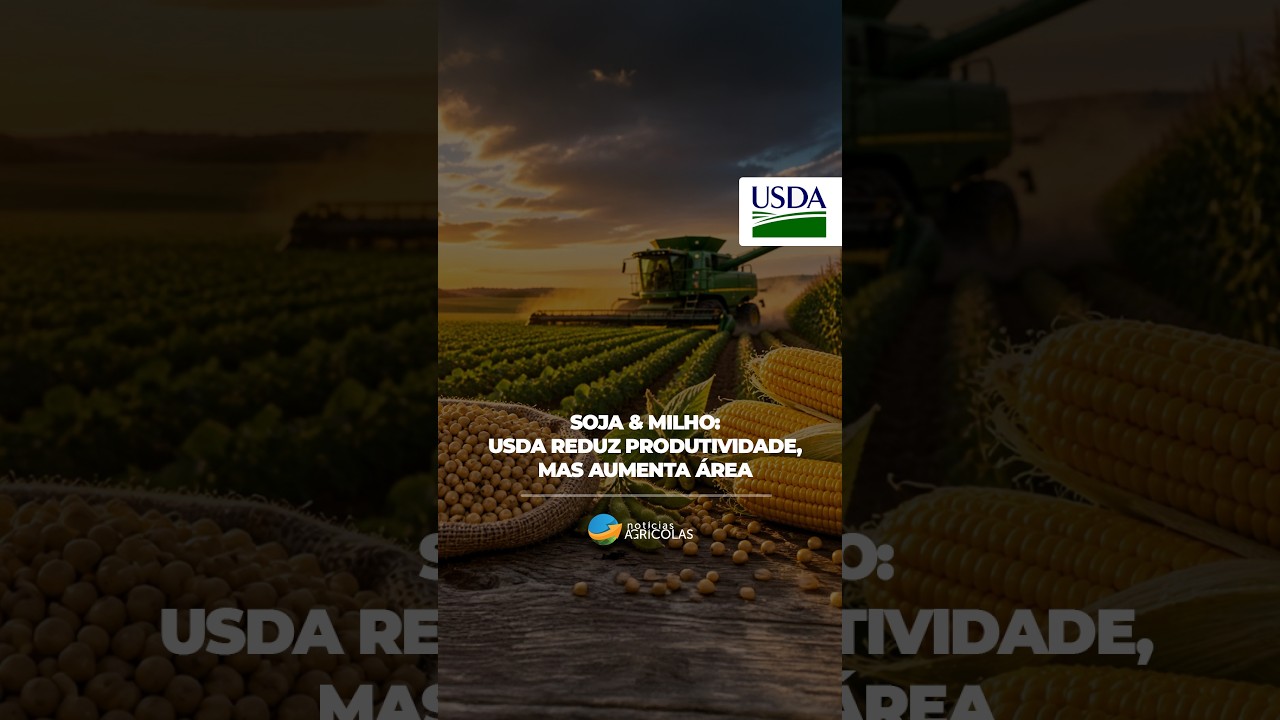 SOJA & MILHO: USDA REDUZ PRODUTIVIDADE, MAS AUMENTA ÁREA NOS EUA