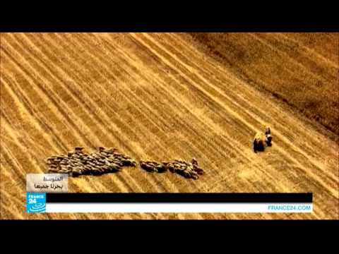 على هذه الأرض | حدث هذا منذ زمن بعيد جدا...