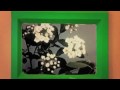 Fiesta Love Factory - Fűt�s tesz