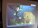 Ocean Life - Sponges to Worms