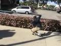 Chill-Future-Ranger-