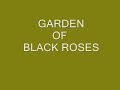 Garden Of Black Roses.