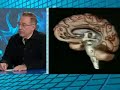 Cerebro e investigación