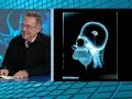 Cerebro e investigación