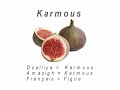 Origine du  Parler Alg�rien