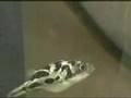 Freshwater Pufferfish Adventure with Jacques Cousteau