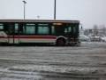 videos de Buses in the snow, TTC 7500, 1110, and etc.