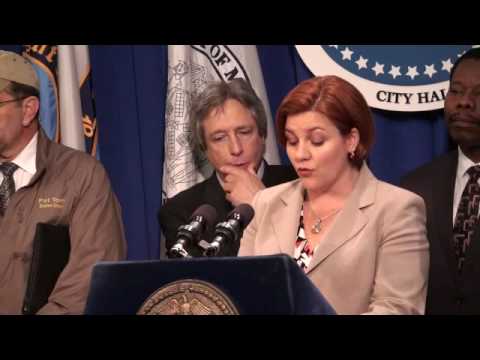 NYC Council on WG