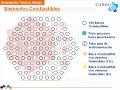 Reactor Nuclear Argentino CAREM