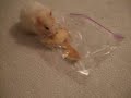 Gom Soon The Hamster Movie